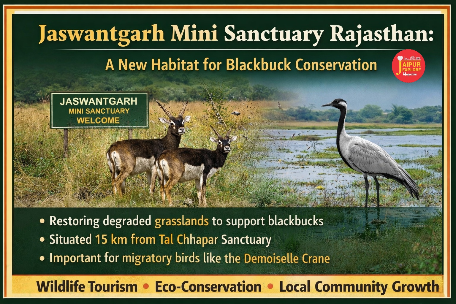 WhatsApp Image 2026 04 07 at 7.01.32 PM