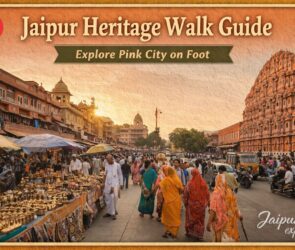 WhatsApp Image 2026 04 08 at 1.20.35 PM