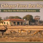 WhatsApp Image 2026 04 08 at 12.51.54 PM