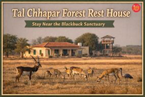 WhatsApp Image 2026 04 08 at 12.51.54 PM