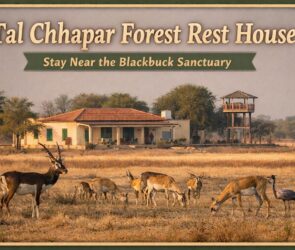 WhatsApp Image 2026 04 08 at 12.51.54 PM