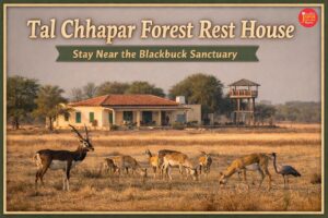 WhatsApp Image 2026 04 08 at 12.51.54 PM