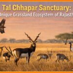 WhatsApp Image 2026 04 09 at 9.30.45 AM