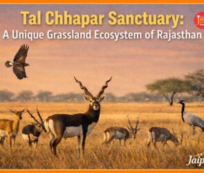 WhatsApp Image 2026 04 09 at 9.30.45 AM