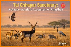 WhatsApp Image 2026 04 09 at 9.30.45 AM